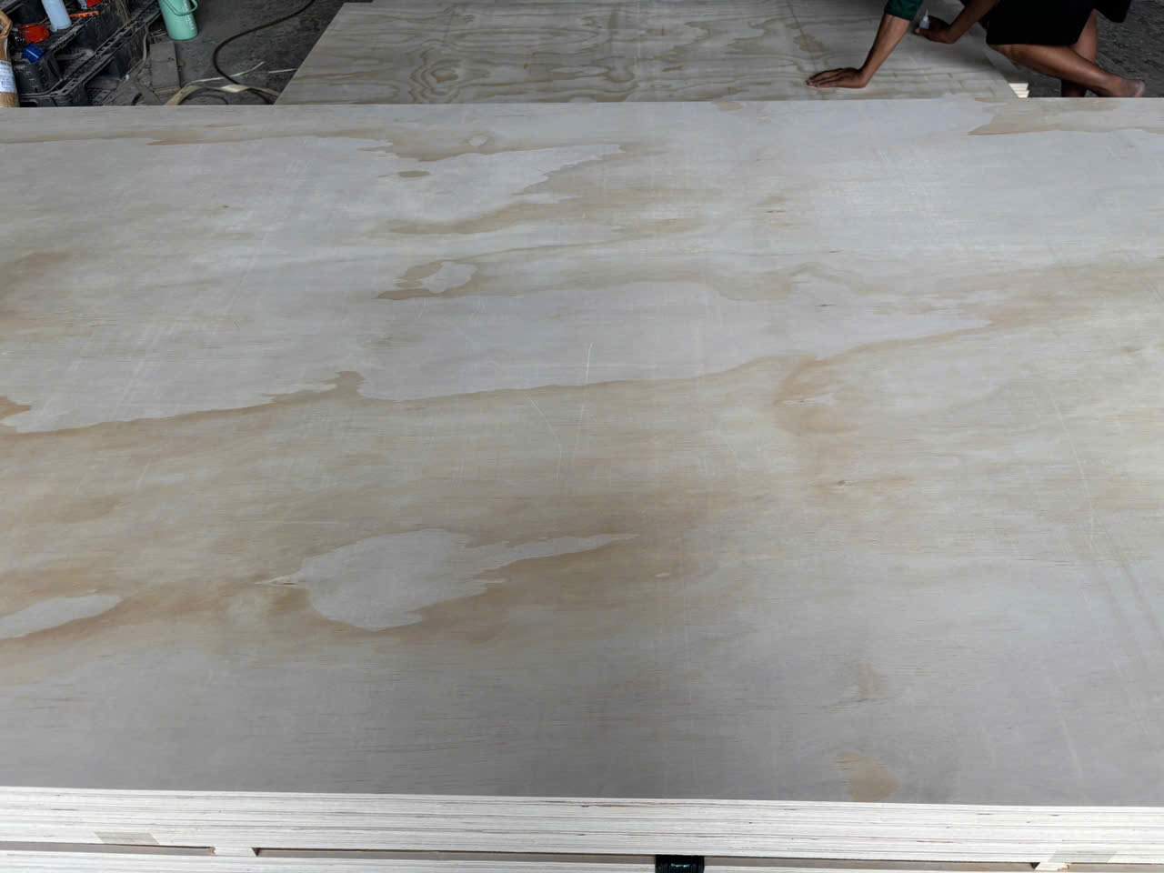 Ván ép lõi cao su – Rubberwood Core Plywood with Pine / Okoume / Eucalyptus Face - Ảnh 3