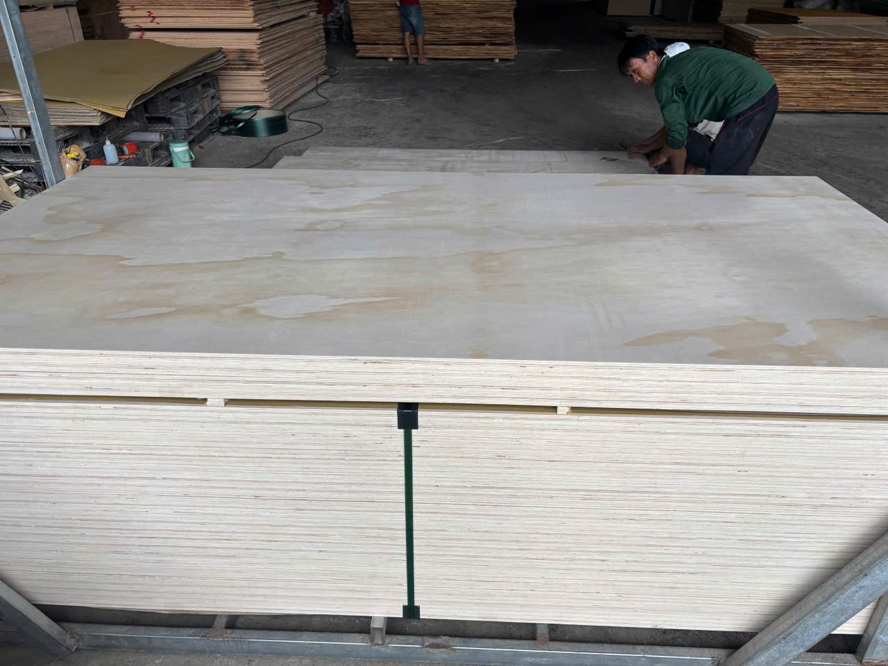 Ván ép lõi cao su – Rubberwood Core Plywood with Pine / Okoume / Eucalyptus Face - Ảnh 4