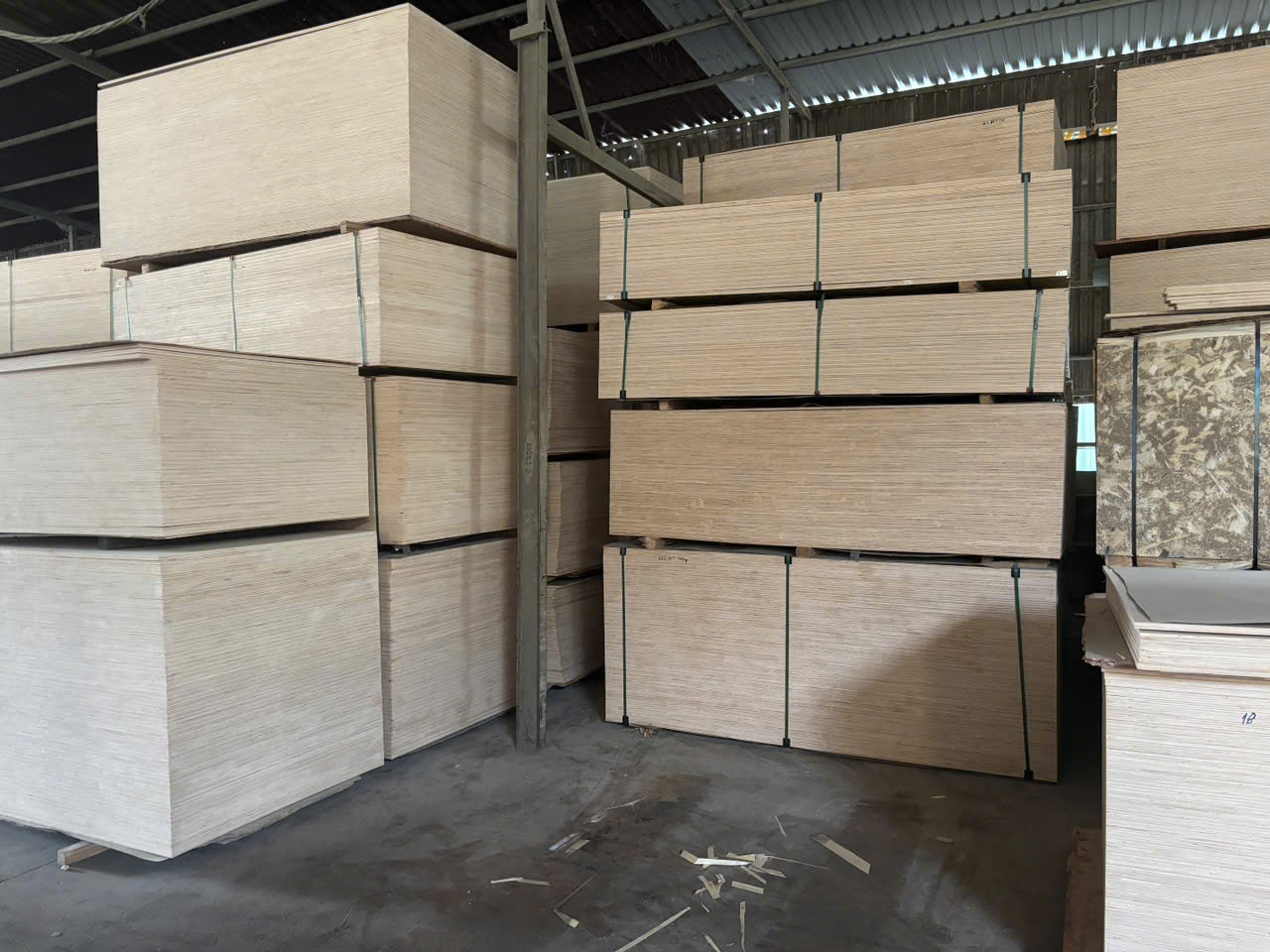 Ván ép lõi cao su – Rubberwood Core Plywood with Pine / Okoume / Eucalyptus Face - Ảnh 2