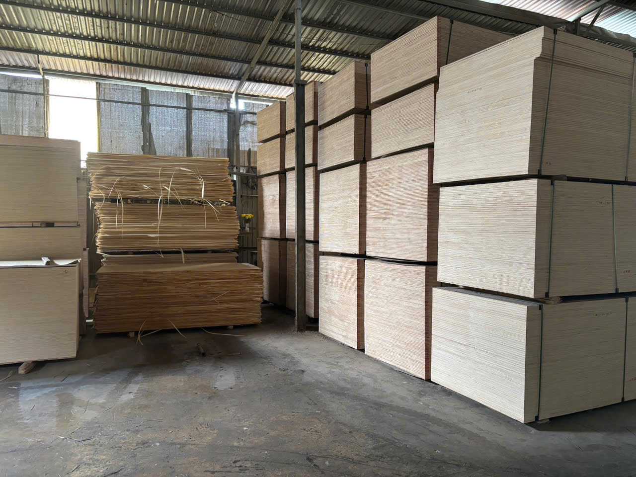 Ván ép lõi cao su – Rubberwood Core Plywood with Pine / Okoume / Eucalyptus Face - Ảnh 5